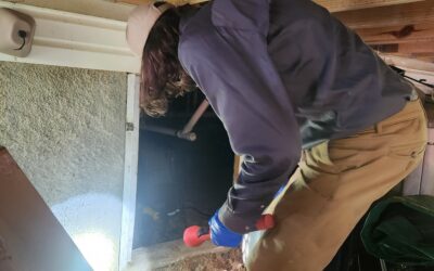 Armor Termite’s Professional Winter Pest Prevention Strategy